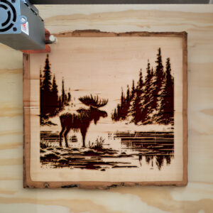 532801_wood-laser-1.jpg