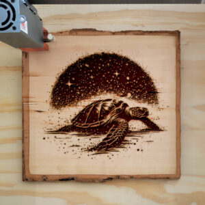 536000_wood-laser-1.jpg