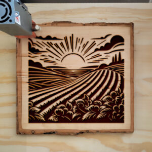 536010_wood-laser-1.jpg