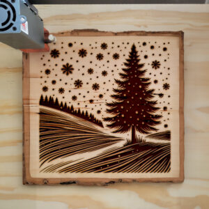536206_wood-laser-1.jpg