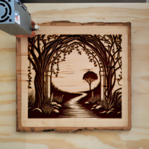 536213_wood-laser-1.jpg