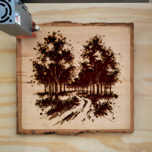 536242_wood-laser-1.jpg