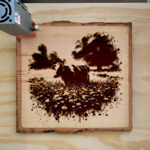 536244_wood-laser-1.jpg