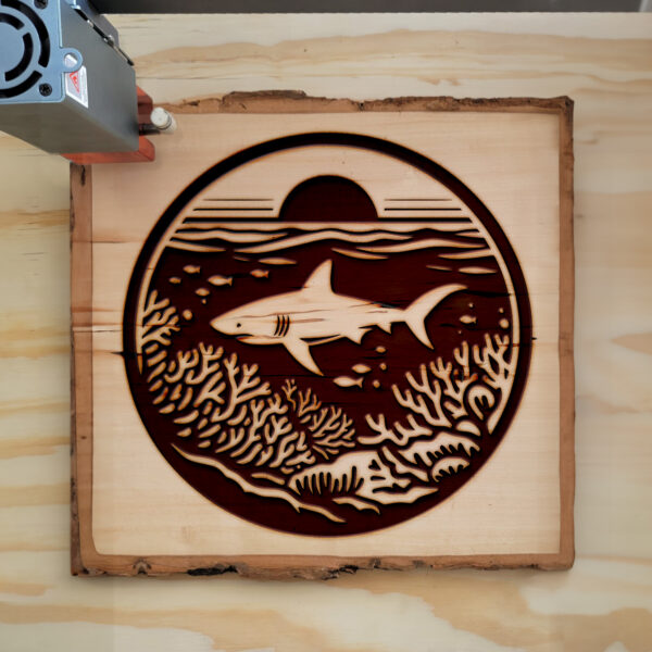 554397_wood-laser-1.jpg