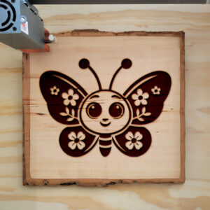 554512_wood-laser-1.jpg