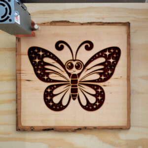 554517_wood-laser-1.jpg