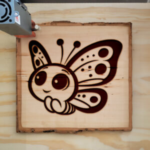 554531_wood-laser-1.jpg