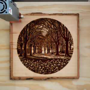 554625_wood-laser-1.jpg
