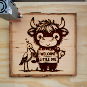 554631_wood-laser-1.jpg