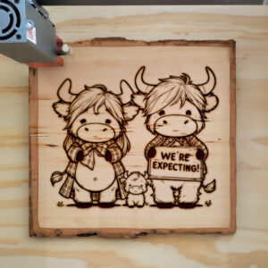 554663_wood-laser-1.jpg