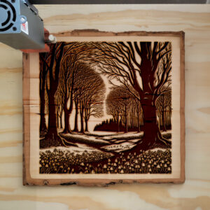 554694_wood-laser-1.jpg