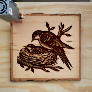 554696_wood-laser-1.jpg