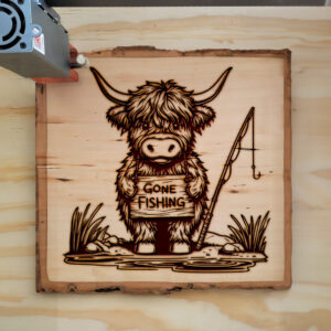 555401_wood-laser-1.jpg