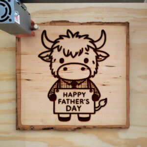 555433_wood-laser-1.jpg