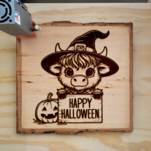 555868_wood-laser-1.jpg