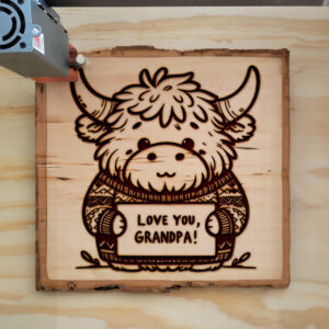 555872_wood-laser-1.jpg