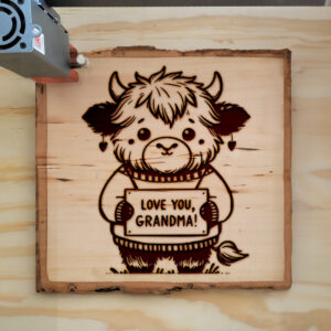555887_wood-laser-1.jpg