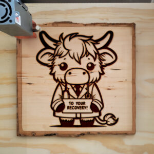 569809_wood-laser-1.jpg