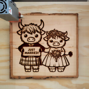 569814_wood-laser-1.jpg