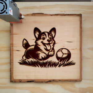 571177_wood-laser-1.jpg
