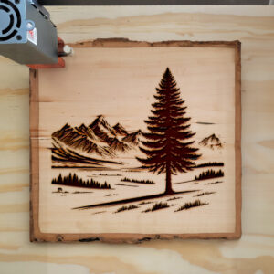 571233_wood-laser-1.jpg