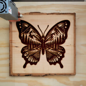 572735_wood-laser-1.jpg
