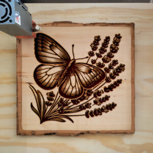 572741_wood-laser-1.jpg