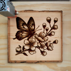 572750_wood-laser-1.jpg