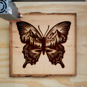 572753_wood-laser-1.jpg
