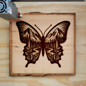 572759_wood-laser-1.jpg