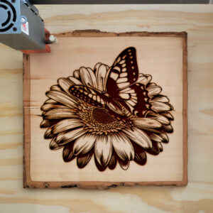 572765_wood-laser-1.jpg