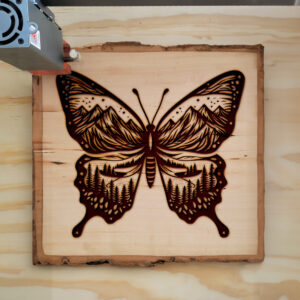 572804_wood-laser-1.jpg
