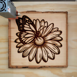 572812_wood-laser-1.jpg