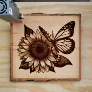 572816_wood-laser-1.jpg