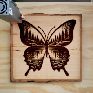 572849_wood-laser-1.jpg