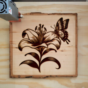 572853_wood-laser-1.jpg