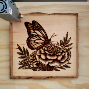 572869_wood-laser-1.jpg