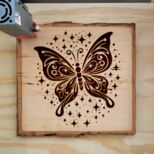 572871_wood-laser-1.jpg