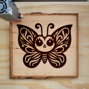 572973_wood-laser-1.jpg