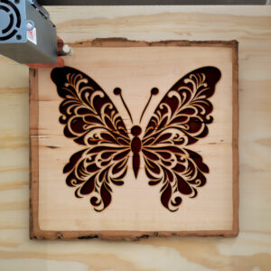 572977_wood-laser-1.jpg