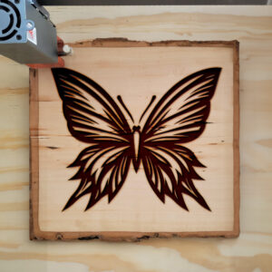 572979_wood-laser-1.jpg
