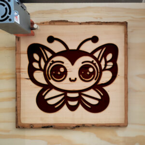 572983_wood-laser-1.jpg