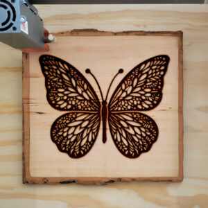 572999_wood-laser-1.jpg