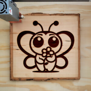 573025_wood-laser-1.jpg