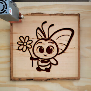 573029_wood-laser-1.jpg