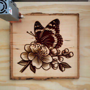 573655_wood-laser-1.jpg