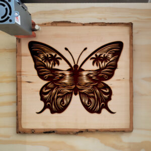 573721_wood-laser-1.jpg