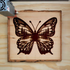 573725_wood-laser-1.jpg