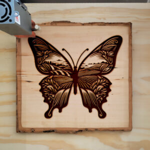 573728_wood-laser-1.jpg