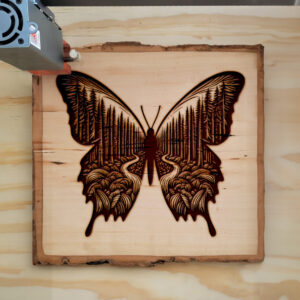 573734_wood-laser-1.jpg